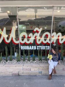 roobarb studio venice 318