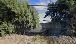 Rose Hut Flowers & Gifts rose hut flowers gifts somis 632