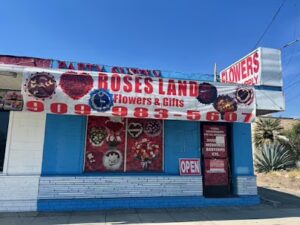 roses land corp ontario 494