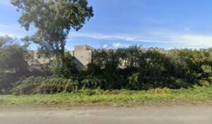 safeway floral arcata 708