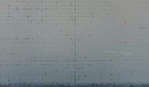 safeway floral vacaville 579