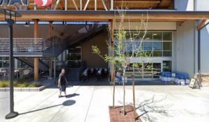 safeway floral walnut creek 1315