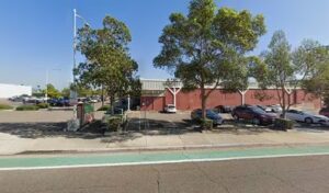 sprouts floral lemon grove 1308