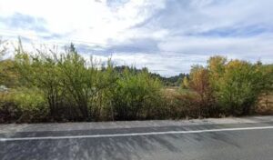 sunfunnels floral design grass valley 684