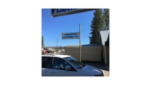 sunshine flowers chester 1590