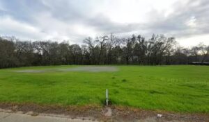 suttons fresh christmas trees rocklin 953