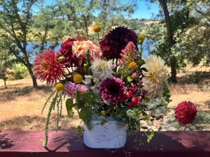 the secret gardens grass valley 495