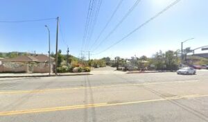 ultra greens nursery wholesale sylmar 319