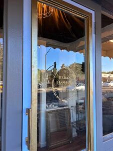 urban blossom and decor danville 300