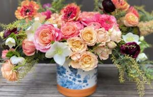 VERTmalibu vertmalibu malibu 1620