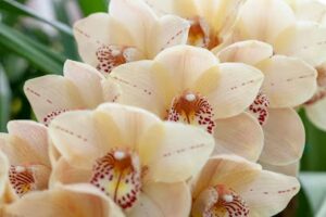 weddings by gallup stribling carpinteria 636