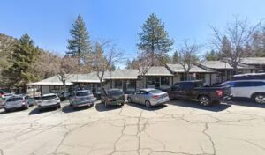 Wrightwood florist calico kitty wrightwood florist calico kitty wrightwood 476